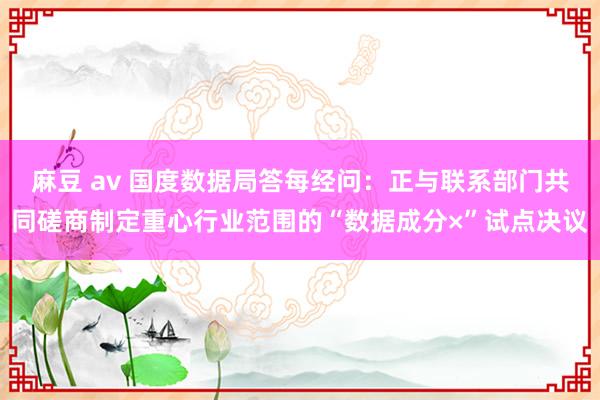 麻豆 av 国度数据局答每经问：正与联系部门共同磋商制定重心行业范围的“数据成分×”试点决议