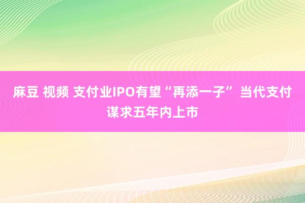 麻豆 视频 支付业IPO有望“再添一子” 当代支付谋求五年内上市