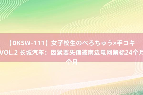 【DKSW-111】女子校生のべろちゅう×手コキ VOL.2 长城汽车：因紧要失信被南边电网禁标24个月