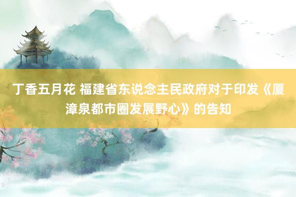 丁香五月花 福建省东说念主民政府对于印发《厦漳泉都市圈发展野心》的告知