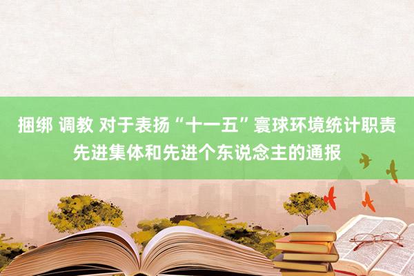 捆绑 调教 对于表扬“十一五”寰球环境统计职责先进集体和先进个东说念主的通报