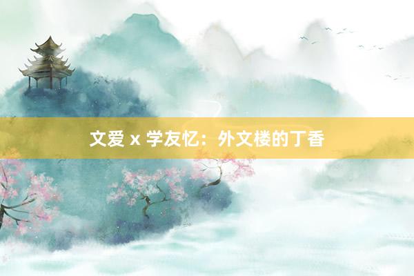 文爱 x 学友忆：外文楼的丁香