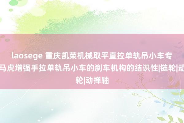 laosege 重庆凯荣机械取平直拉单轨吊小车专利，马虎增强手拉单轨吊小车的刹车机构的结识性|链轮|动掸轴